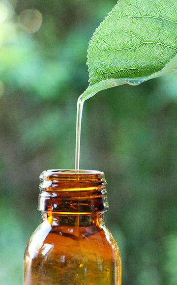 Essential Oils + More