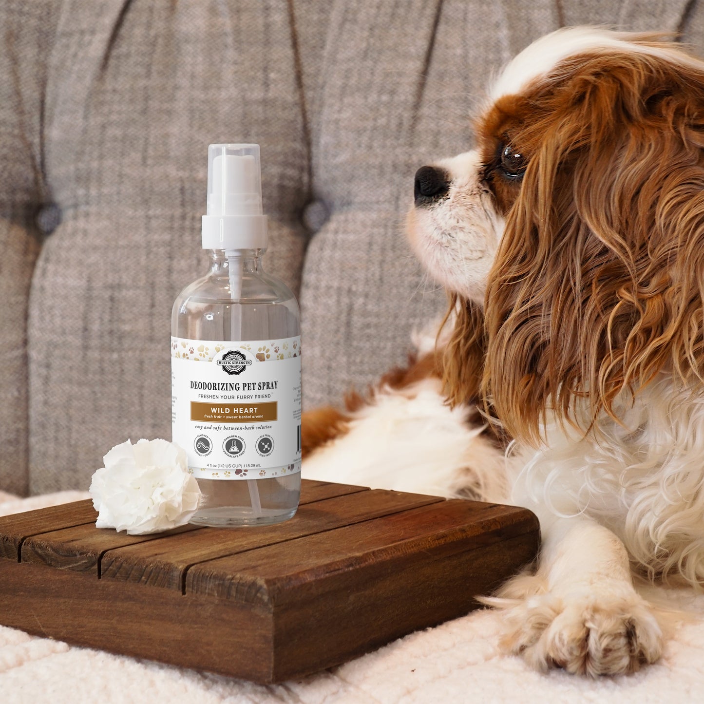 Deodorizing Pet Spray | 4 oz Bottle