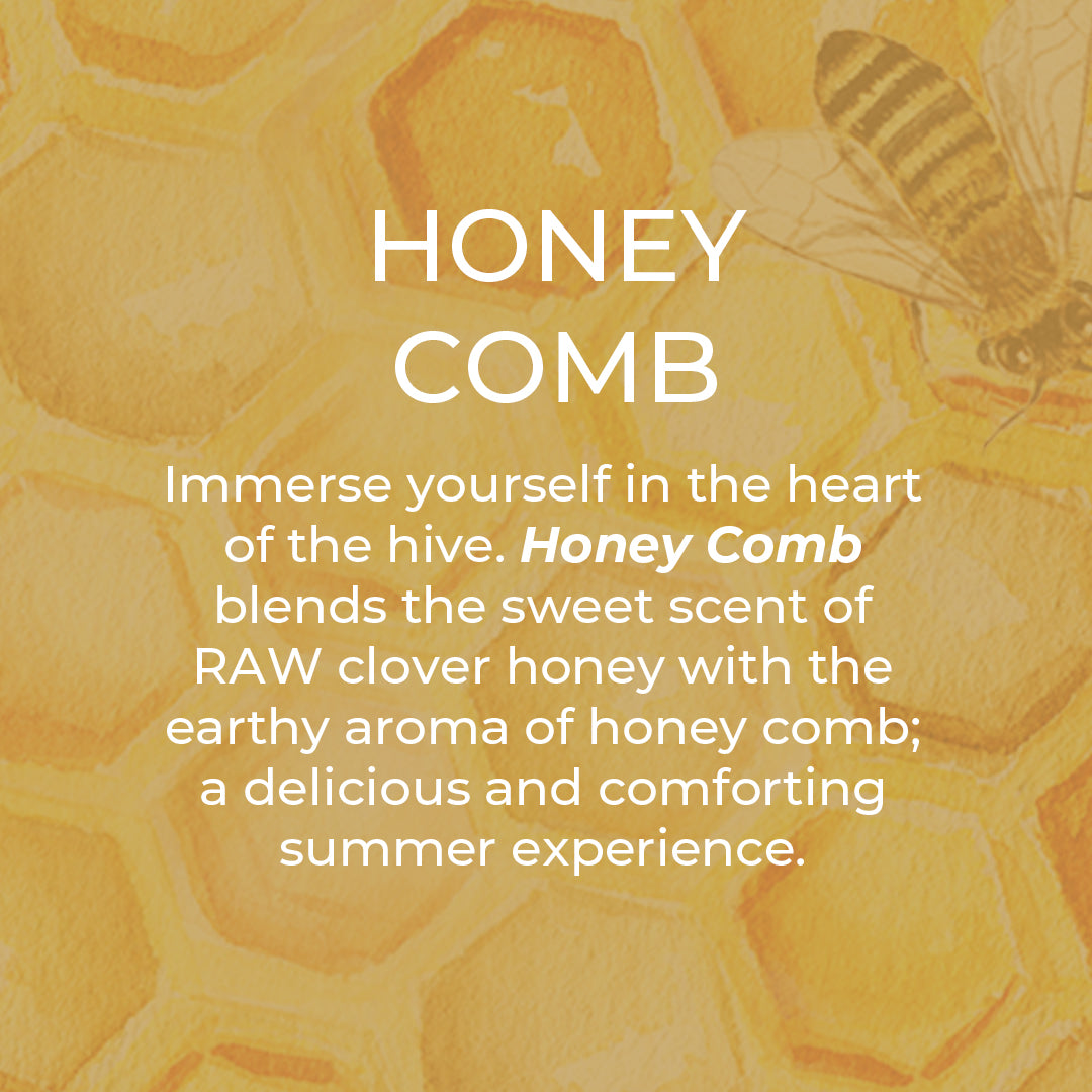Dish Soap - Summer Scents
