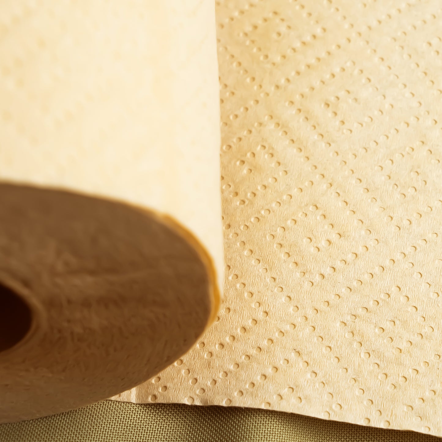 Bamboo Paper Towel