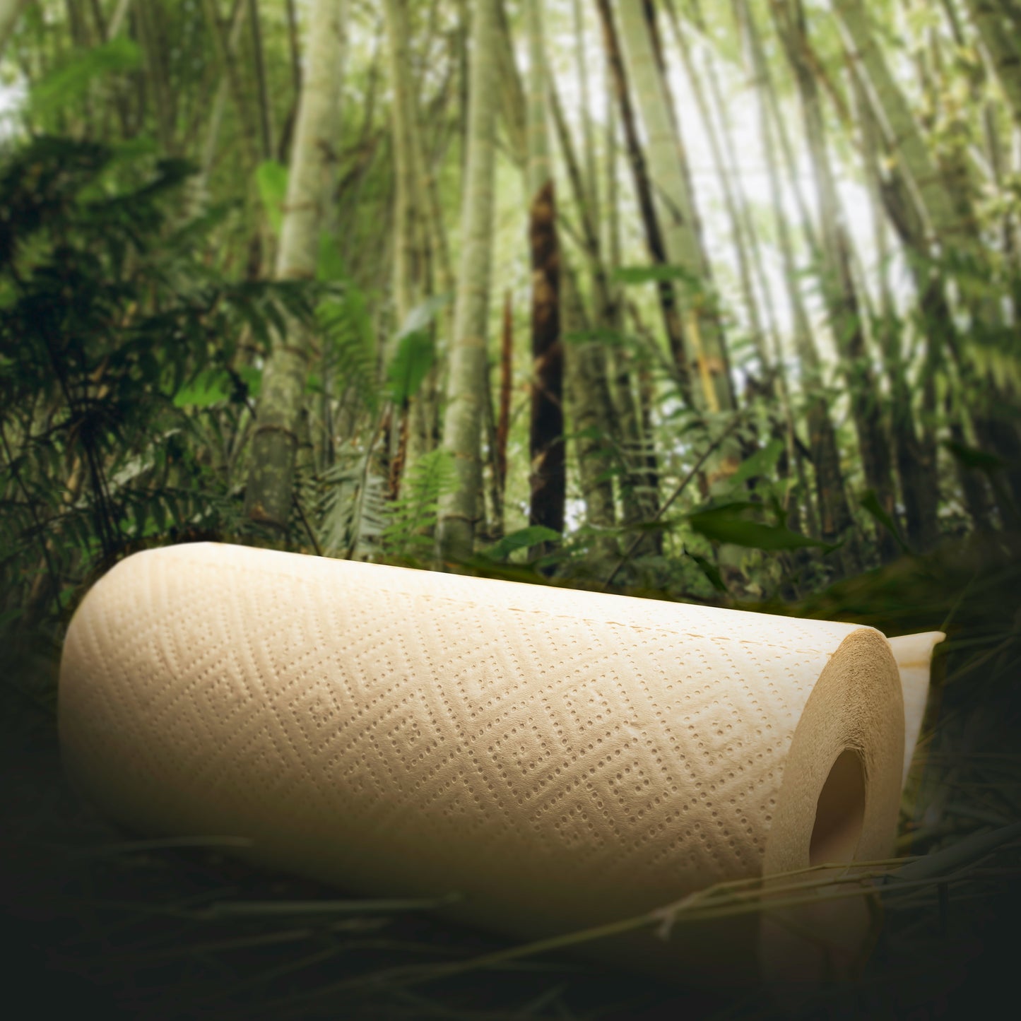Bamboo Paper Towel