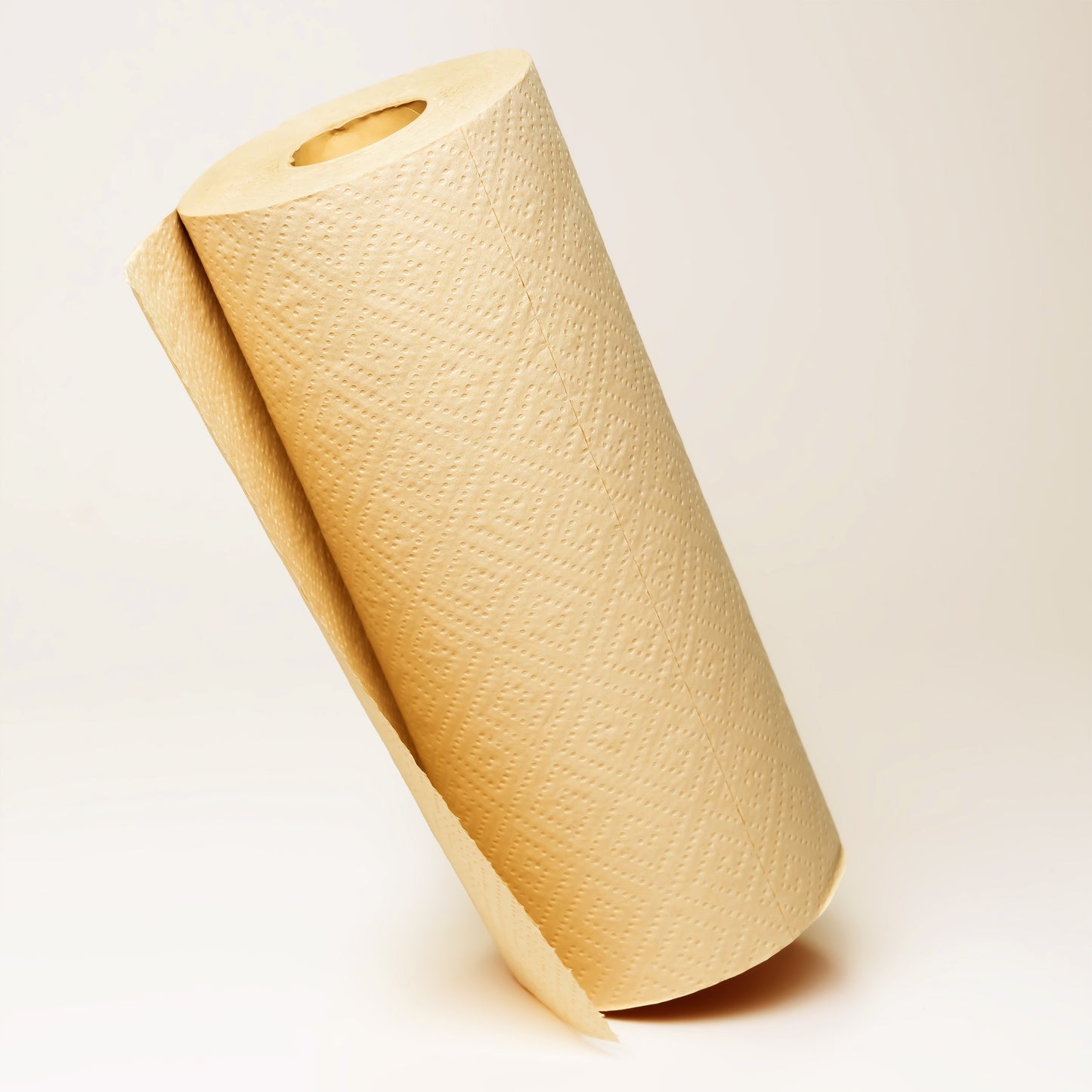 Bamboo Paper Towel