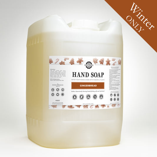 Hand Soap - Winter Scents