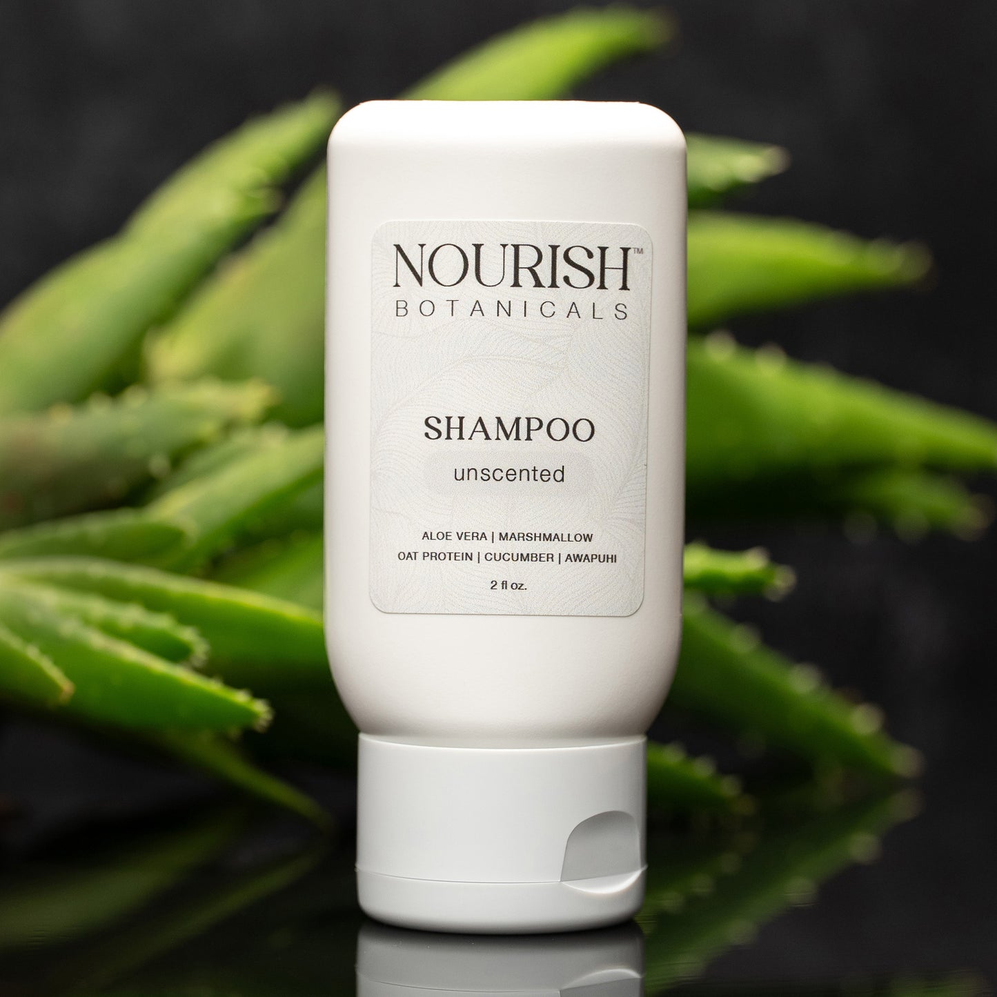 Aloe Vera Shampoo | Retail-Ready