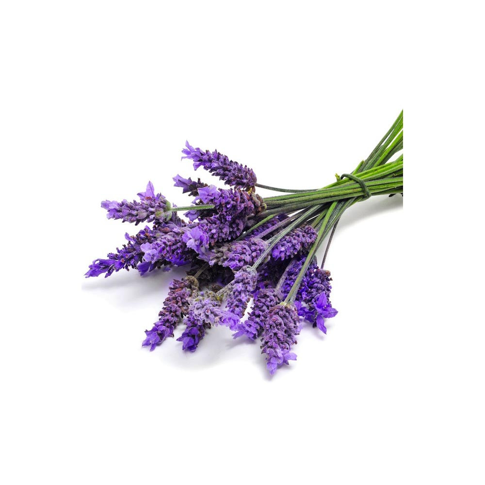 Lavender Essential Oil - 16oz