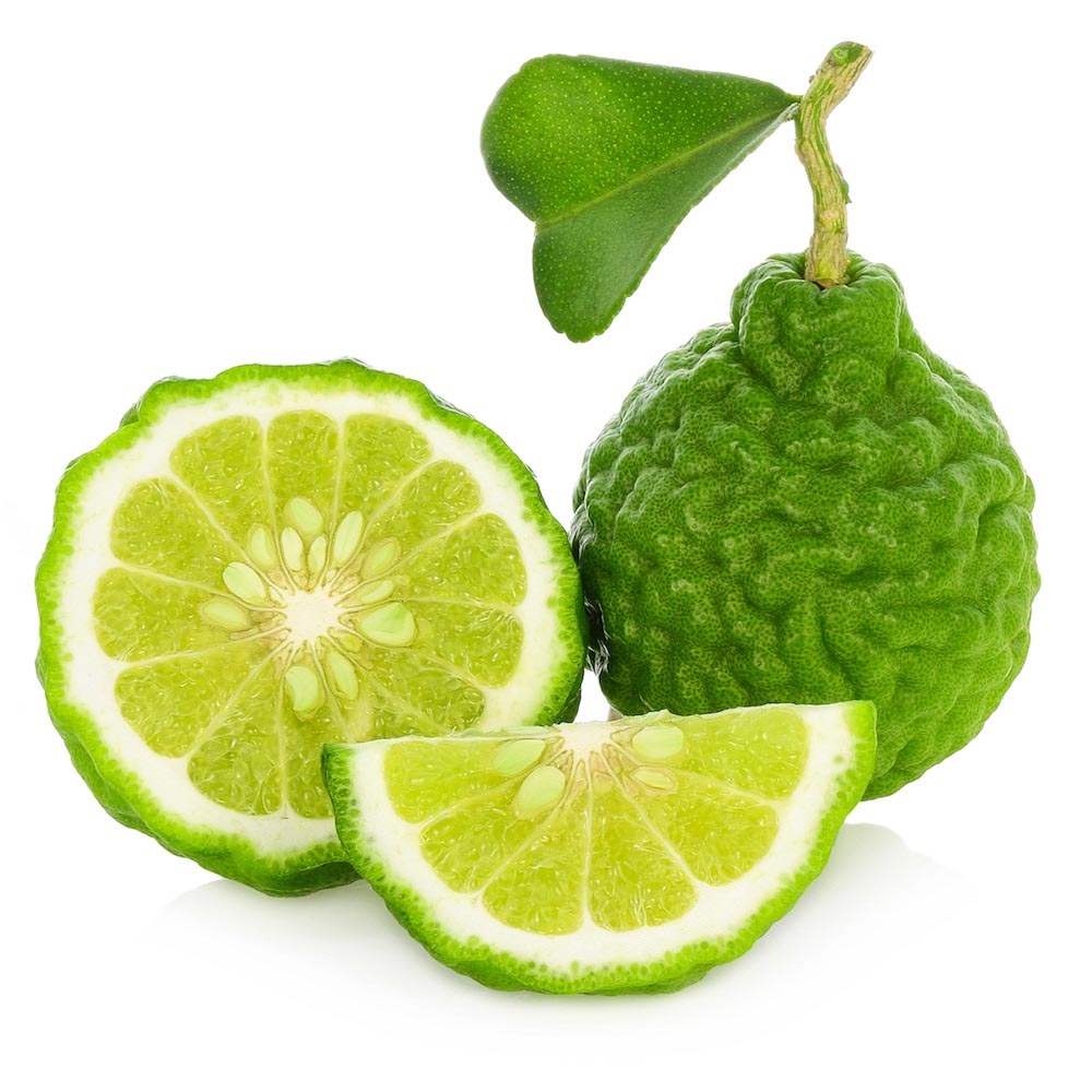 Bergamot Essential Oil - 16oz