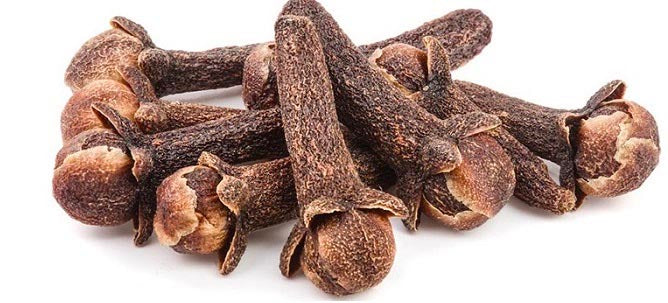 Clove Essential Oil - 16oz