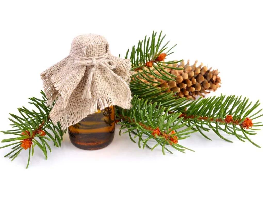 Fir Needle Essential Oil - 16oz