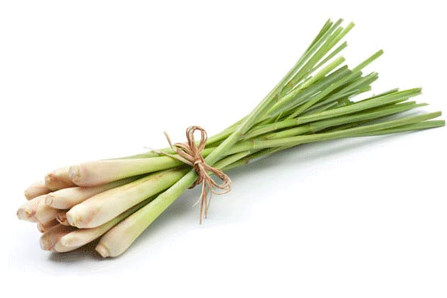 Lemongrass Essential Oil - 16oz