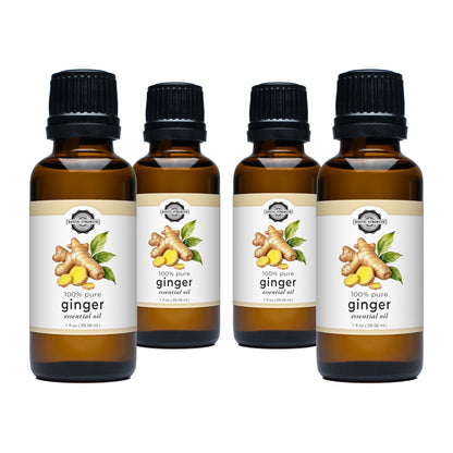 Ginger Essential Oil