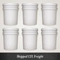 Laundry Detergent - Winter Scents
