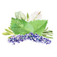 Aromatherapy Essential Oil Blend