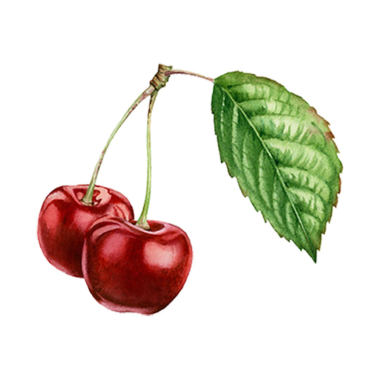 Cherry (Bitter Almond Essential Oil Blend