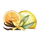 Citrus & Vanilla Essential Oil / Fragrance Oil Blend