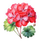 Geranium Replacer Essential Oil Blend