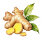 Ginger Essential Oil