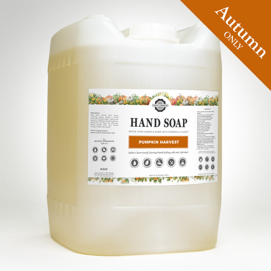 Hand Soap - Autumn Scents