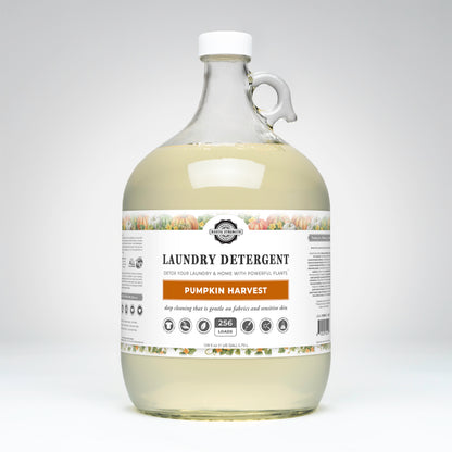 Laundry Detergent | Pumpkin Harvest