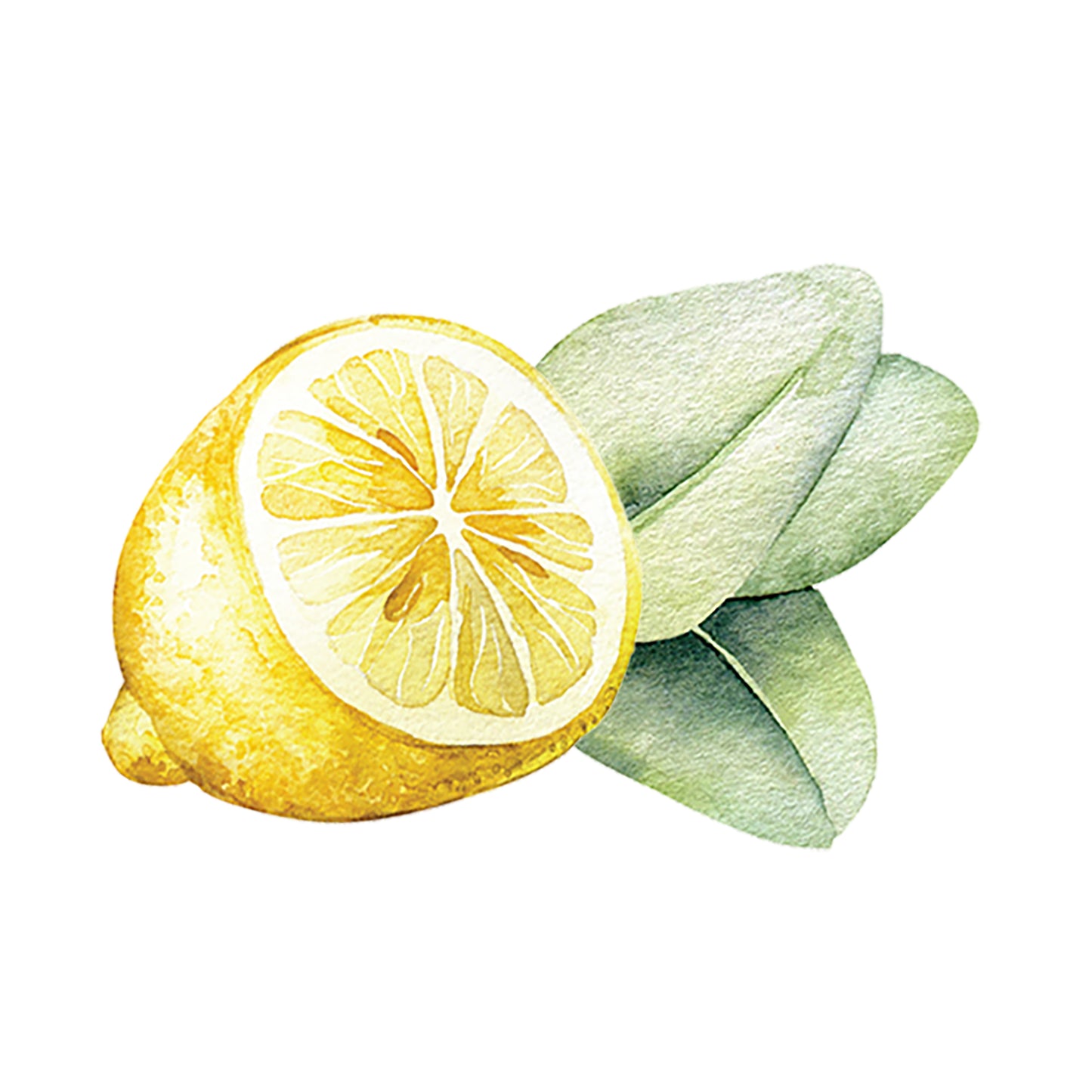 Lemon & Eucalyptus Essential Oil Blend