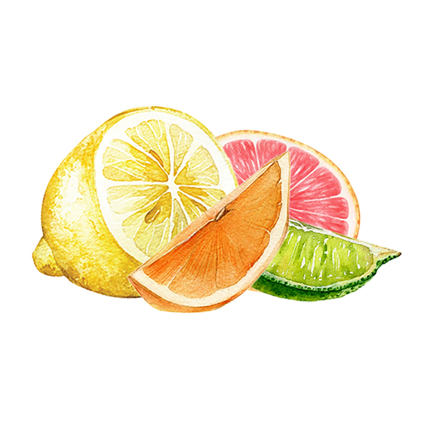 Lemon, Lime, Orange & Grapefruit Essential Oil Blend