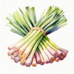 Lemongrass Essential Oil