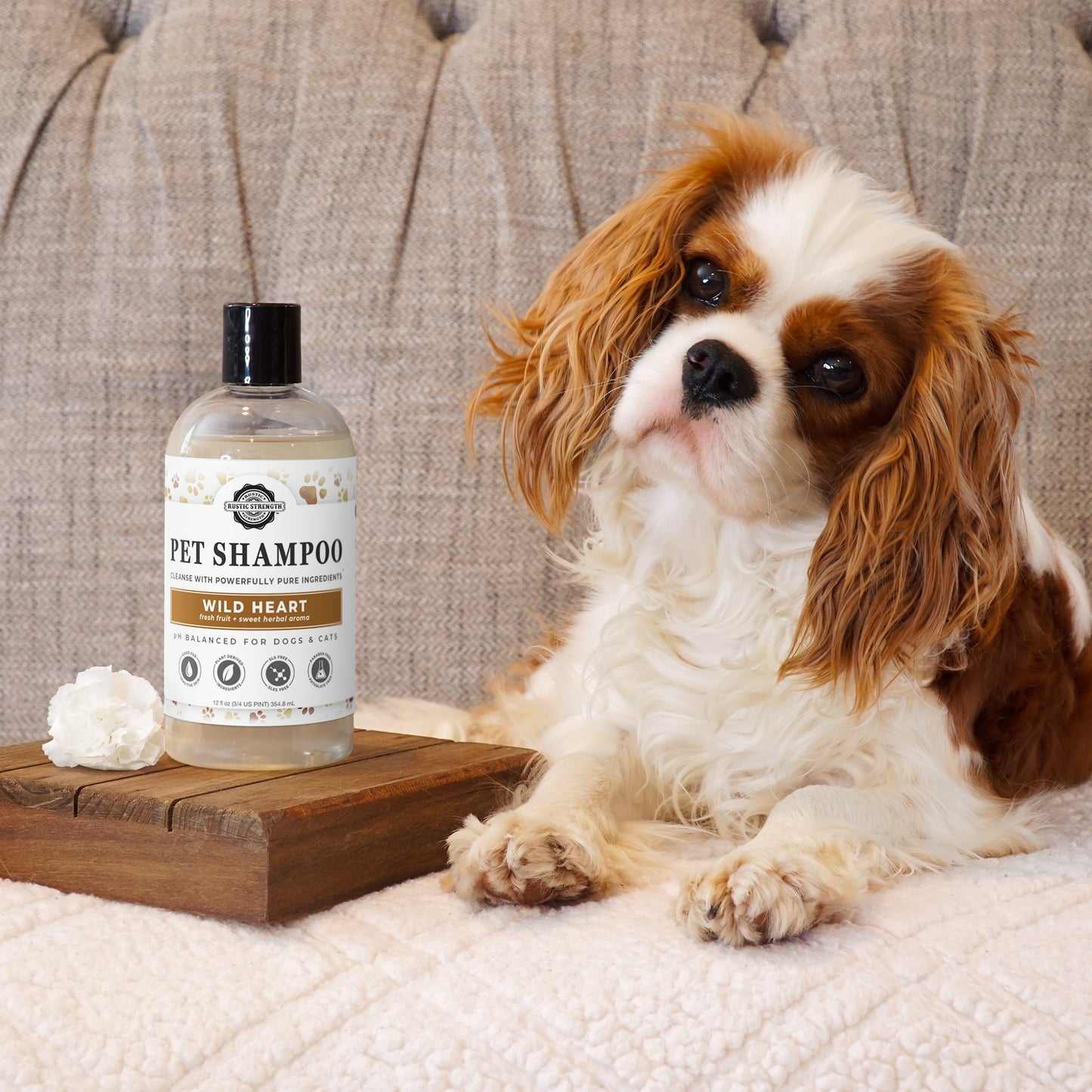 Pet Shampoo | Soothing & Deodorizing