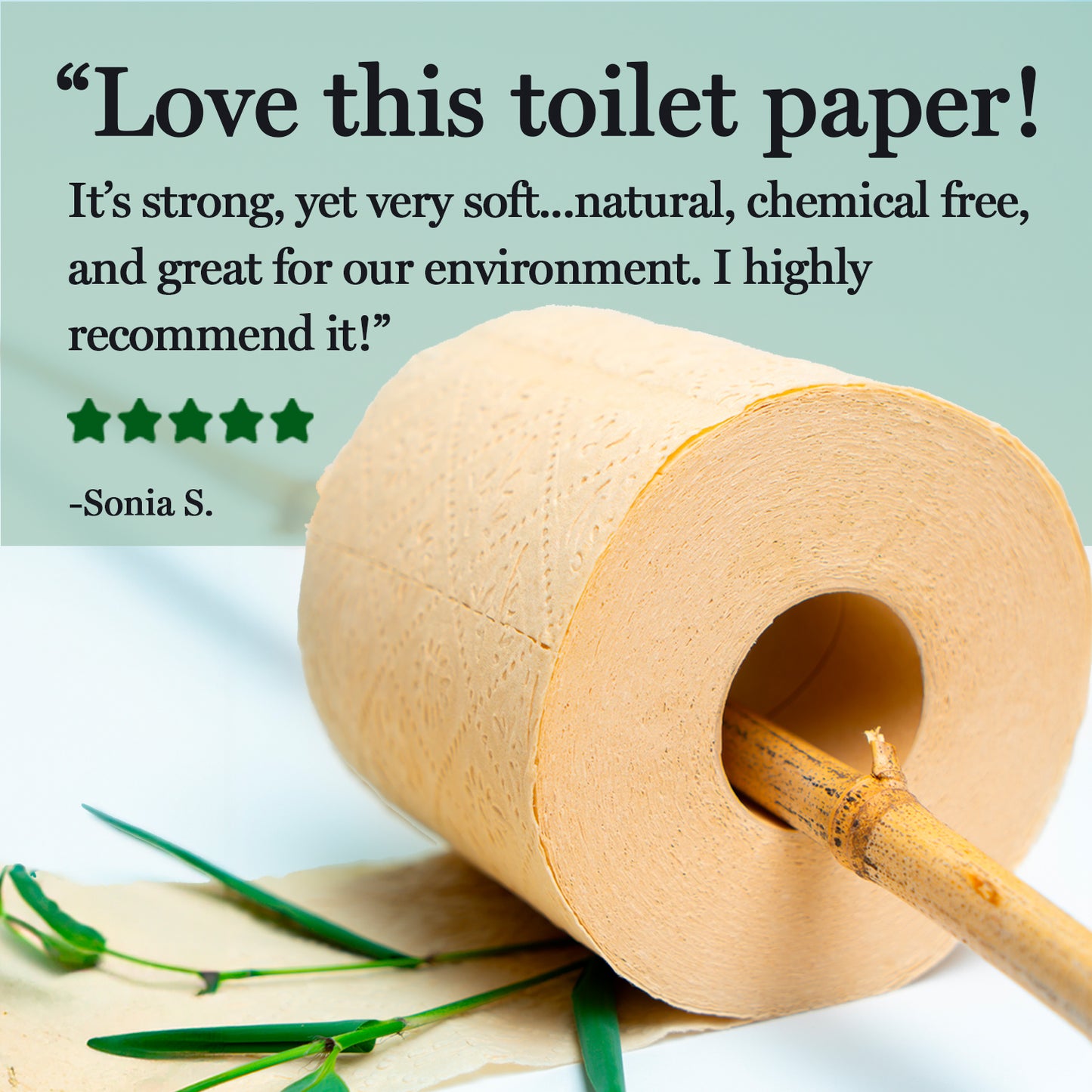 Bamboo Toilet Paper