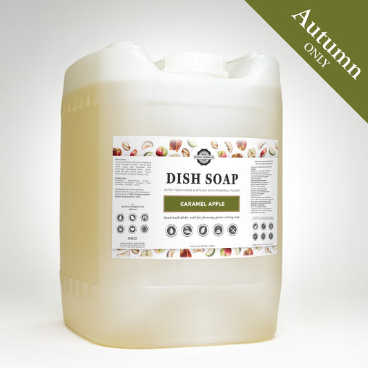 Dish Soap - Autumn Scents