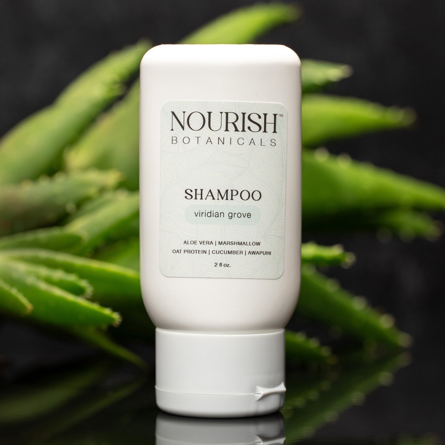 Aloe Vera Shampoo | Retail-Ready