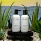 Aloe Vera Shampoo | Retail-Ready