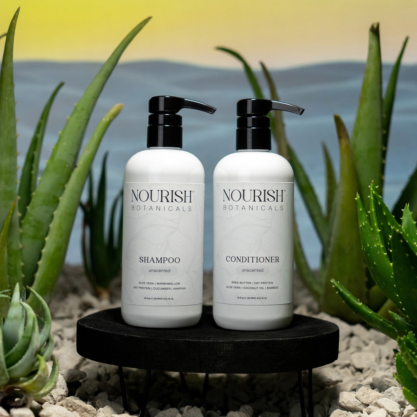 Aloe Vera Shampoo | Retail-Ready