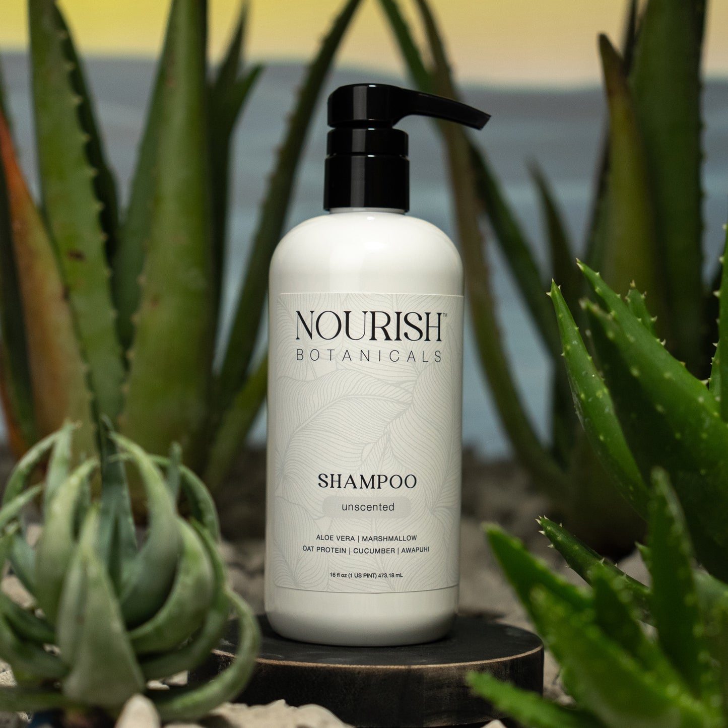 Aloe Vera Shampoo | Retail-Ready