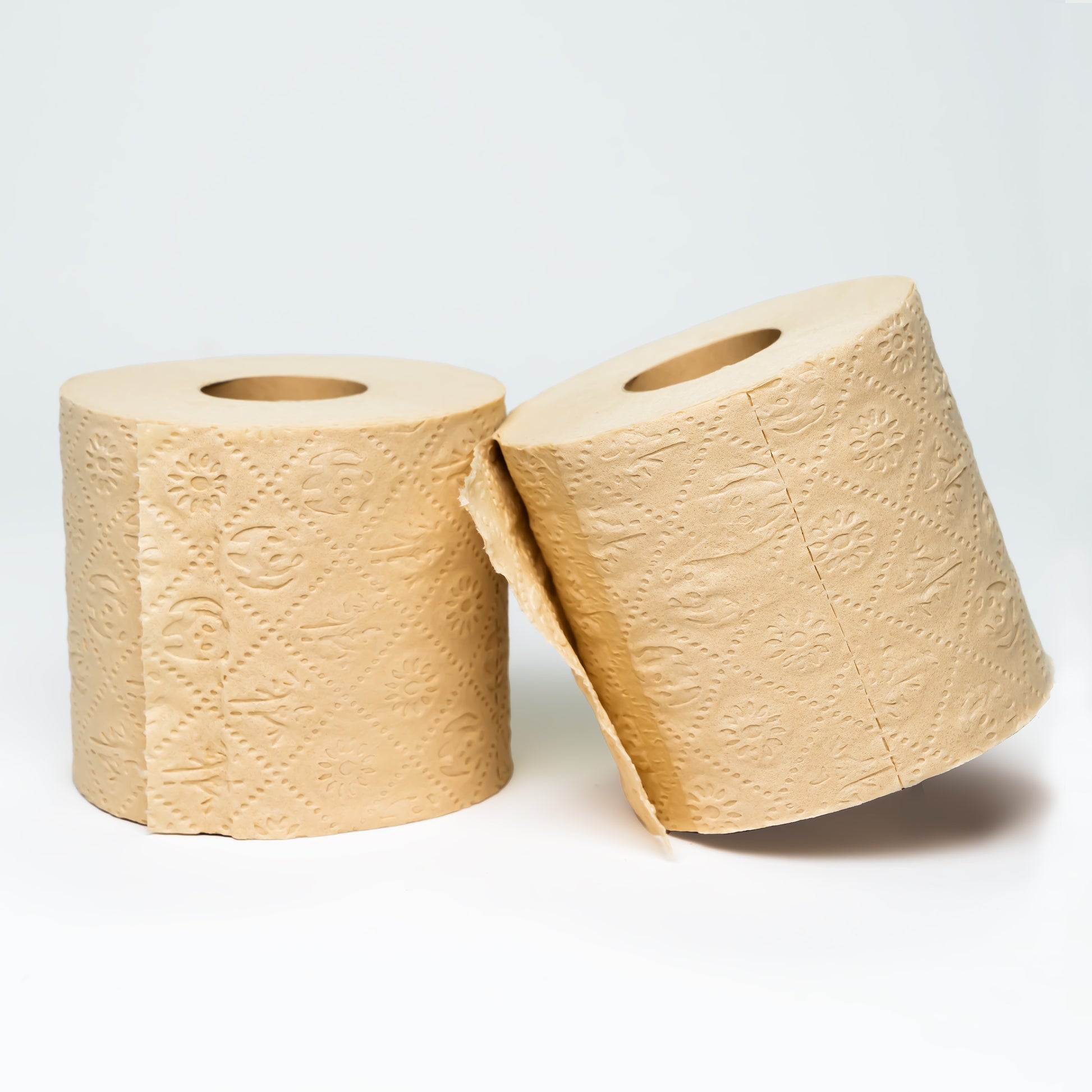 Bamboo Paper Towels - 100% Tree-Free & Unbleached