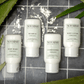 Aloe Vera Shampoo | Retail-Ready